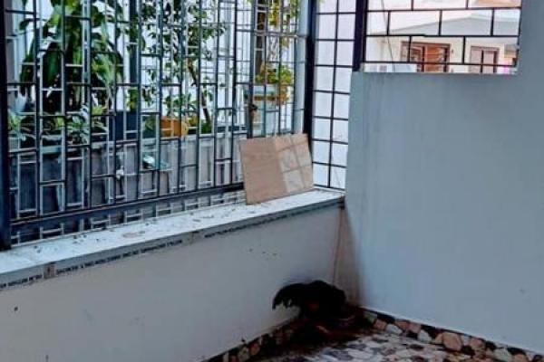 LÔ GÓC 2 THOÁNG, GẦN PHỐ, DT RỘNG. Giáp Bát 41m2 4 Tầng MT 4.2m 3.25 tỷ Hoàng Mai